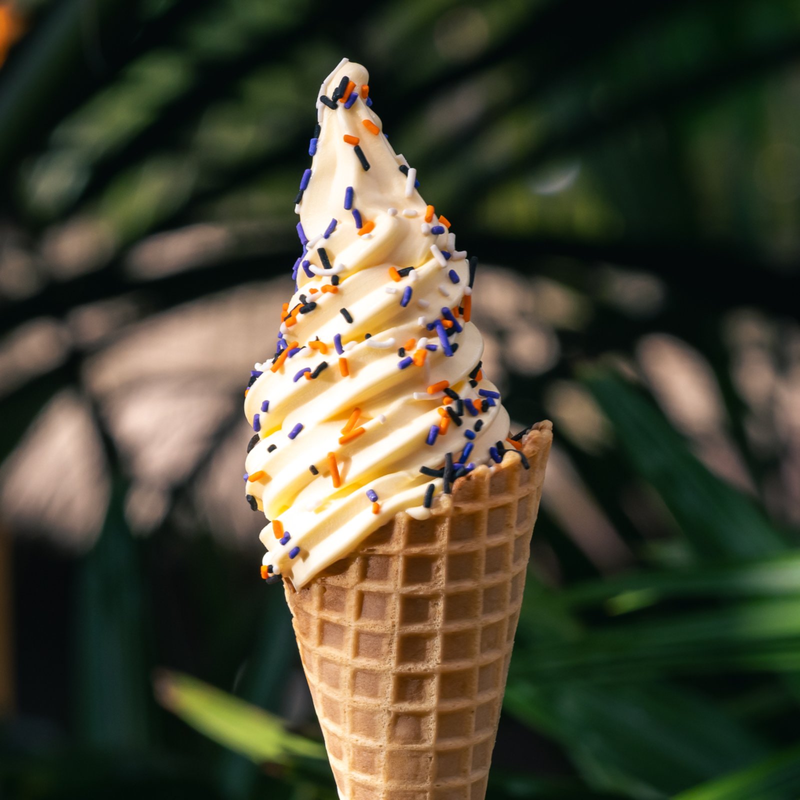 DOLE Whip® Cone