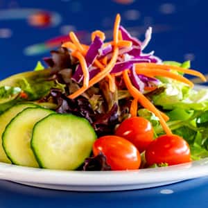Fish/Shellfish Allergy-Friendly Satellite Salad