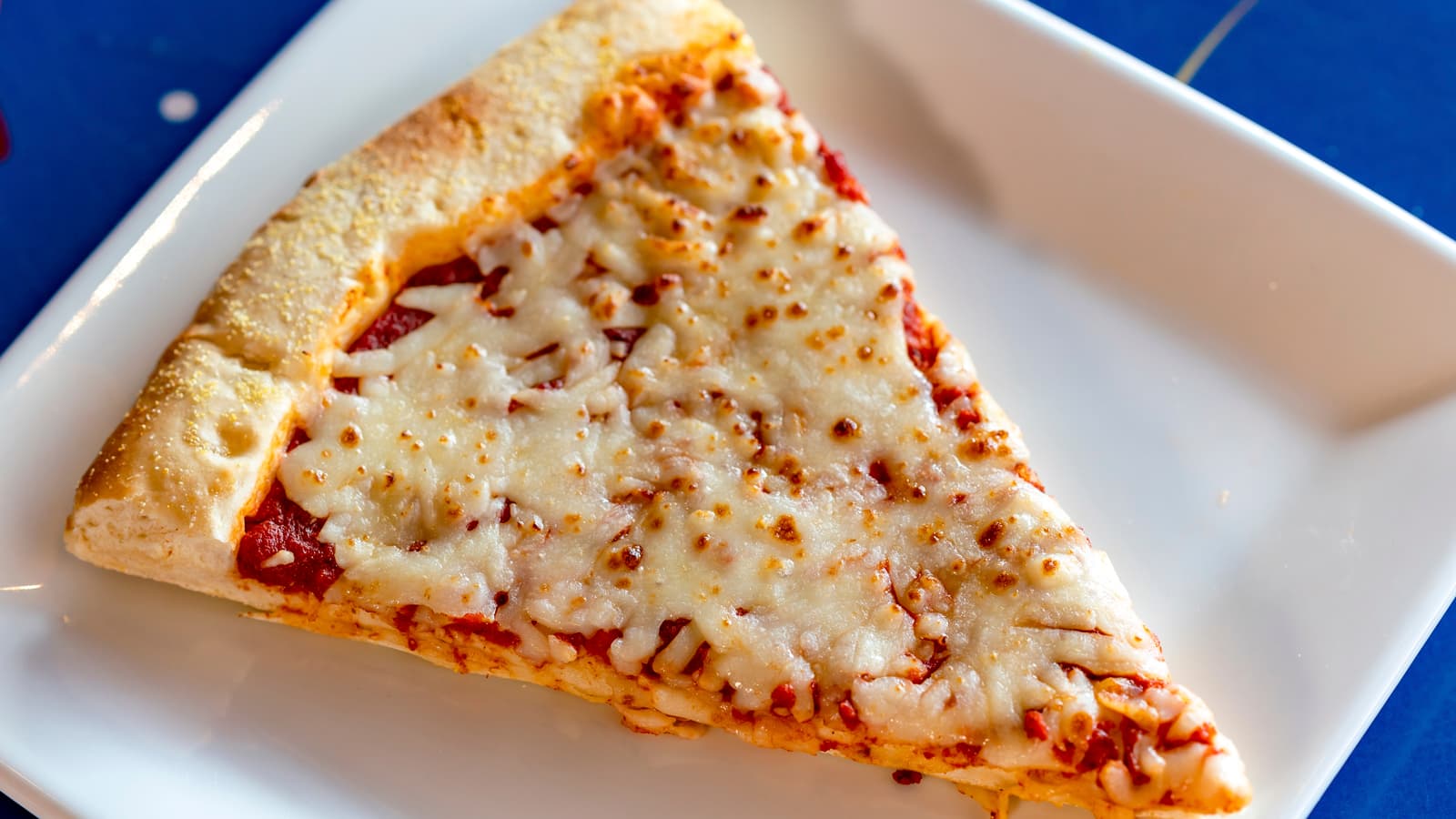 Soy Allergy-Friendly Cheese Pizza