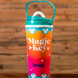 Magic Key Tumbler